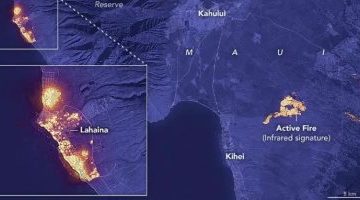 تكنولوجيا  – حرائق الغابات تسبّب الخراب فى “لاهاينا” ثانى أكبر جزيرة فى هاواى