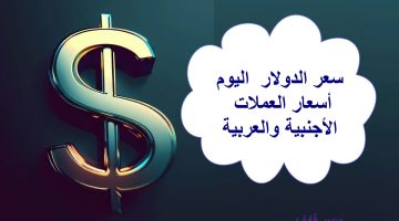 الان – أسعار الدولار مقابل الجنيه المصري اليوم الأحد 20 أغسطس 2023 – البوكس نيوز