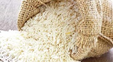 الان – أسعار الأرز اليوم الإثنين 7 أغسطس 2023 – البوكس نيوز
