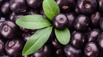الان – ماذا تعرف عن توت الآساي؟ طعام خارق وفوائد صحية ستدهشك – البوكس نيوز