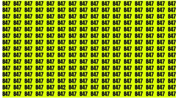 الان – أمامك 10 ثوانٍ فقط لاختبار حدة بصرك.. ابحث عن الرقم 842 في في الصورة – البوكس نيوز