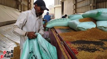 اقتصاد – 4 أسباب وراء انخفاض واردات مصر من القمح أبرزها زيادة الإنتاج – البوكس نيوز