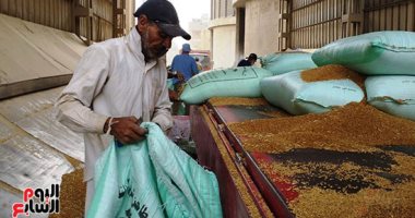 اقتصاد – 4 أسباب وراء انخفاض واردات مصر من القمح أبرزها زيادة الإنتاج – البوكس نيوز