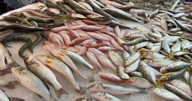 اقتصاد – قائمة أسعار الأسماك في الأسواق اليوم الأحد 10 سبتمبر 2023 – البوكس نيوز