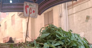 اقتصاد – أسعار الخضراوات في مصر.. الطماطم 8 إلى 12 جنيها والبطاطس 10 جنيهات – البوكس نيوز