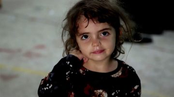 أطفال غزة.. براءة سرقتها الحرب الإسرائيلية | البرامج – البوكس نيوز