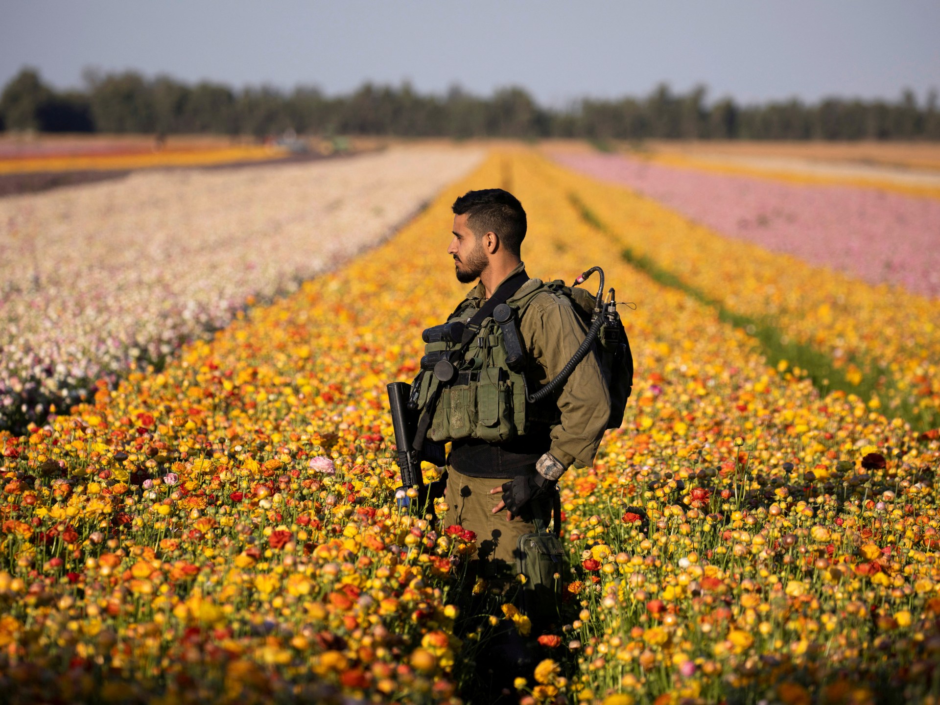 تقرير: 75% من محاصيل إسرائيل مصدرها مزارع غلاف غزة | اقتصاد – البوكس نيوز