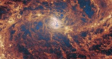تكنولوجيا  – صورة تلسكوب جيمس ويب الفضائى تظهر حديقة مجرية مليئة بالنجوم الناشئة