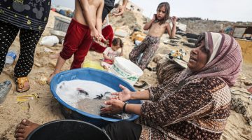 مأساة إنسانية تتفاقم.. الحرب والمجاعة والأوبئة تجتمع على غزة | أخبار – البوكس نيوز
