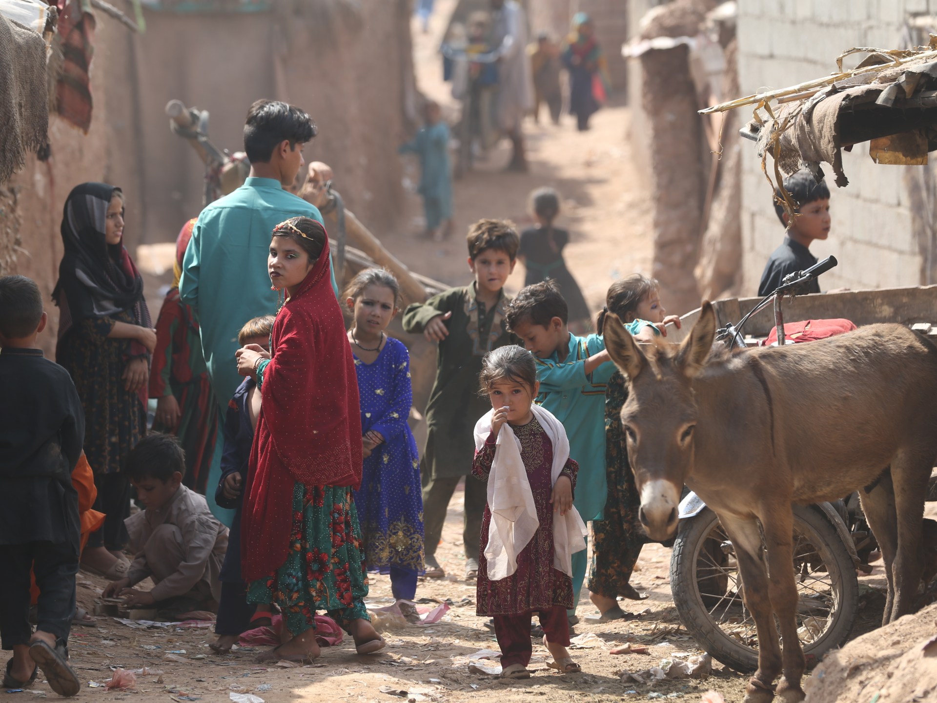 وسط حملة ترحيل واسعة.. 300 ألف لاجئ أفغاني يغادرون باكستان | أخبار حريات – البوكس نيوز