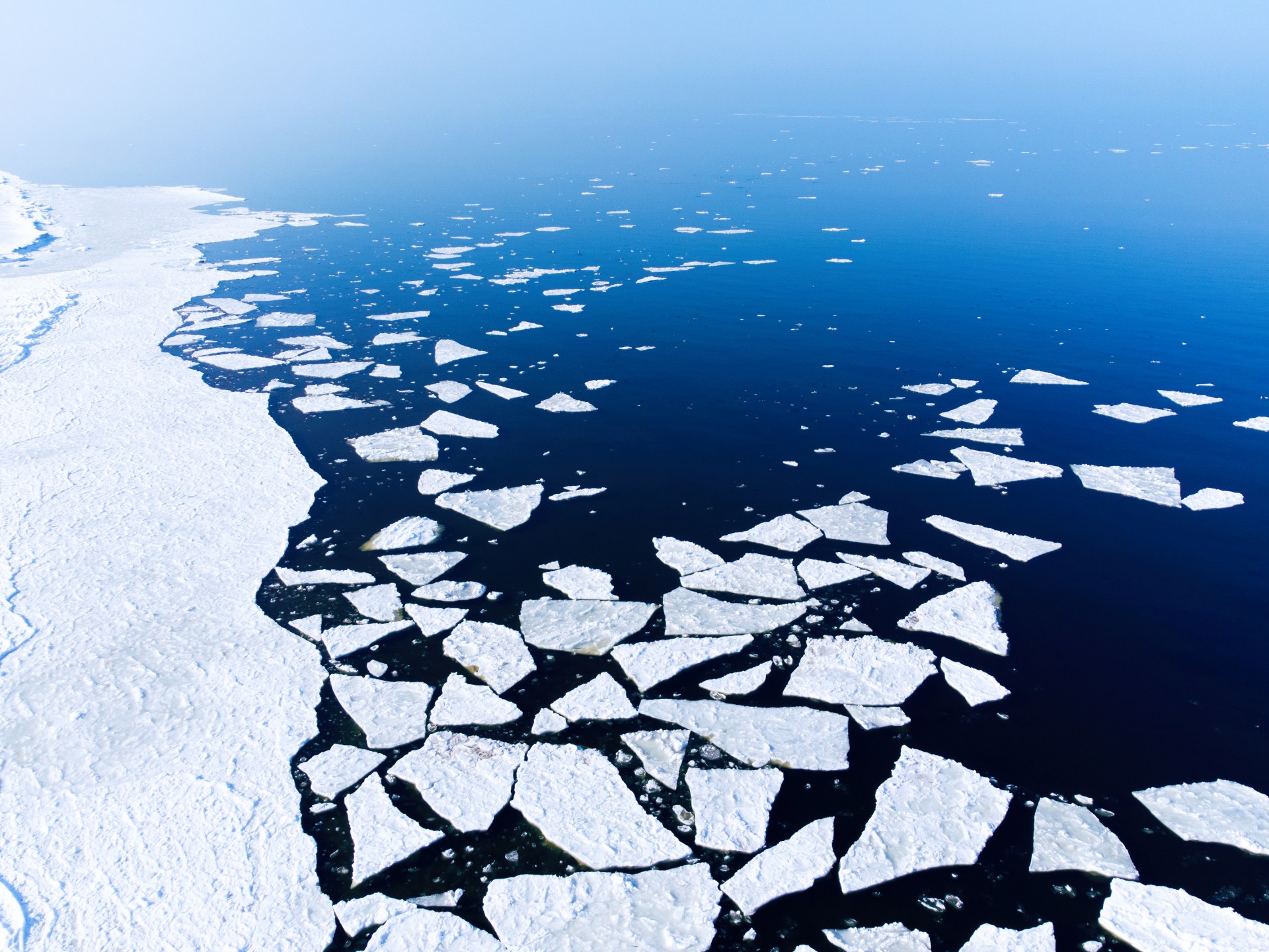 ماذا لو ذاب كل الجليد في القطب الجنوبي؟ | علوم – البوكس نيوز