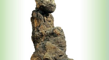 علماء يفكون بعض ألغاز قردة البابون المحنطة لدى قدماء المصريين | علوم – البوكس نيوز