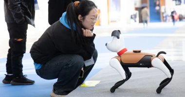 تكنولوجيا  – دراسة: امتلاك حيوانات أليفة روبوتية يخفض مستوى التوتر لدى الإنسان