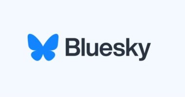 تكنولوجيا  – منصة Bluesky تغير شعارها وتتيح للجميع عرض المنشورات دون حساب