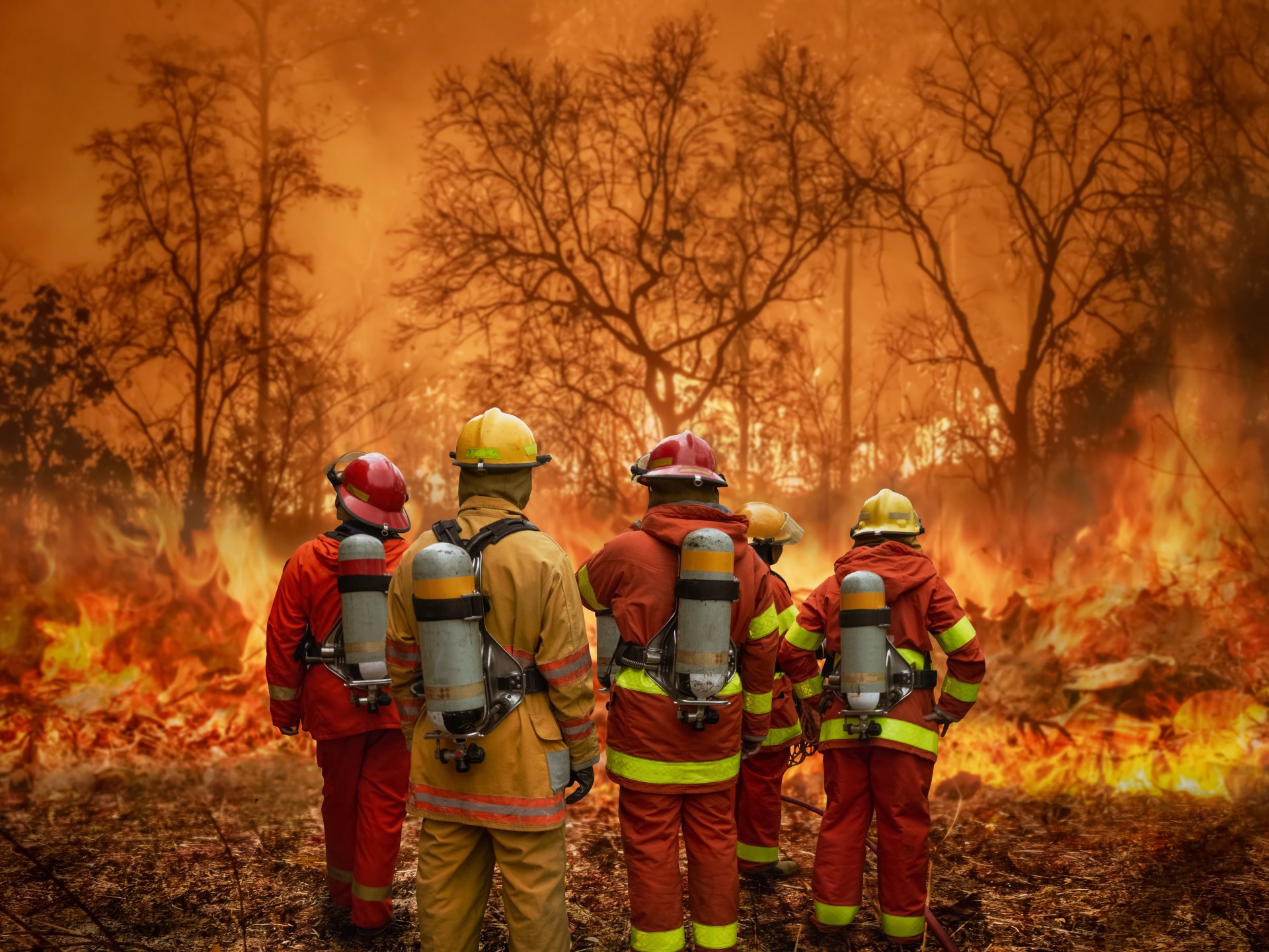حرائق الغابات ستزداد بفعل التغير المناخي | علوم – البوكس نيوز