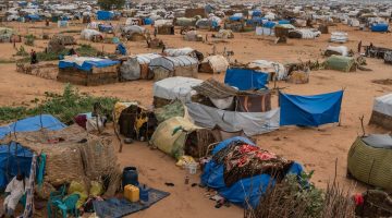 نزوح جماعي لأهالي الفاشر بعد تجدد القتال بين الجيش السوداني والدعم السريع | أخبار – البوكس نيوز