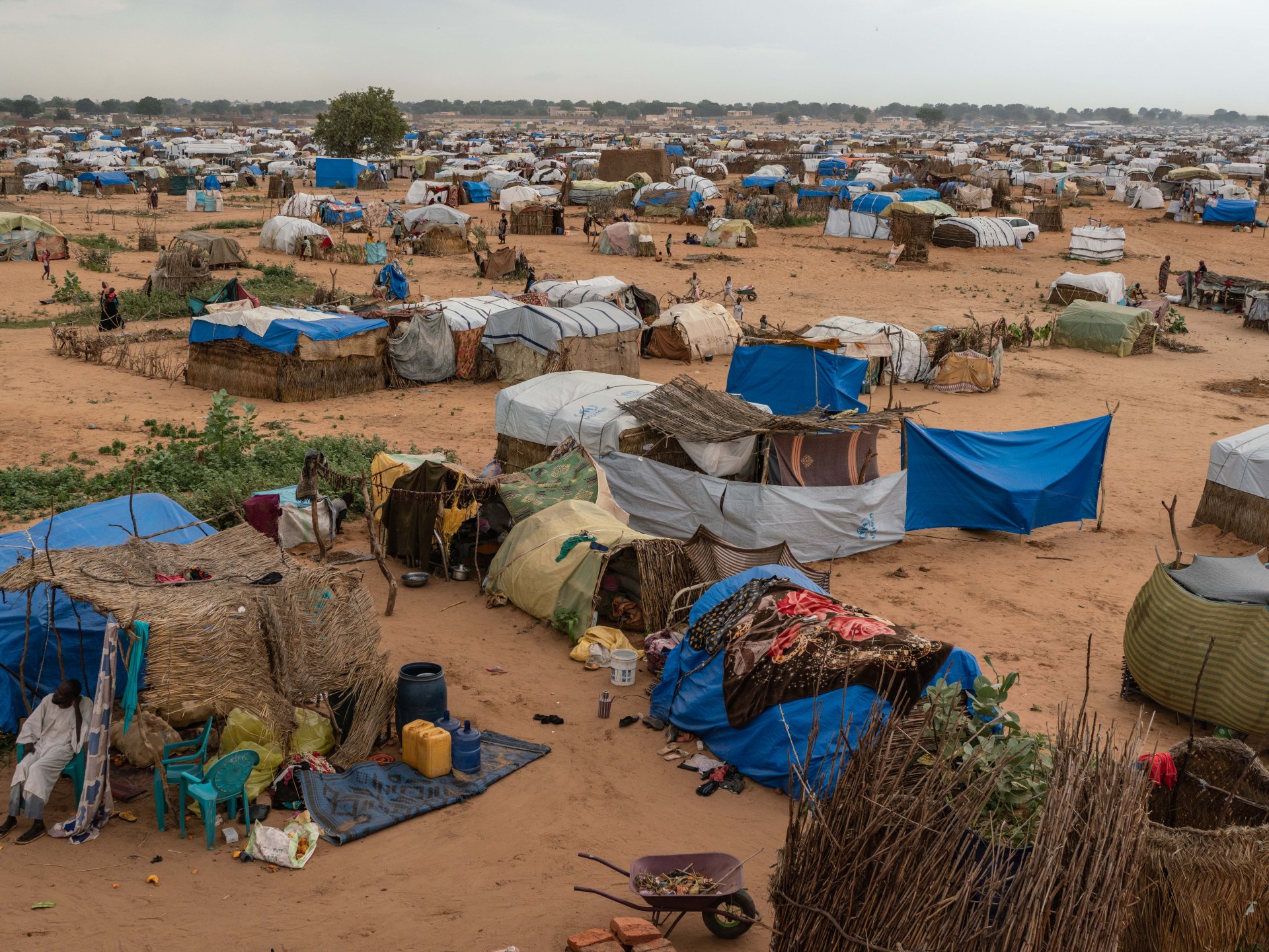 تهجير السودانيين.. آخر مآسي الحرب | آراء – البوكس نيوز