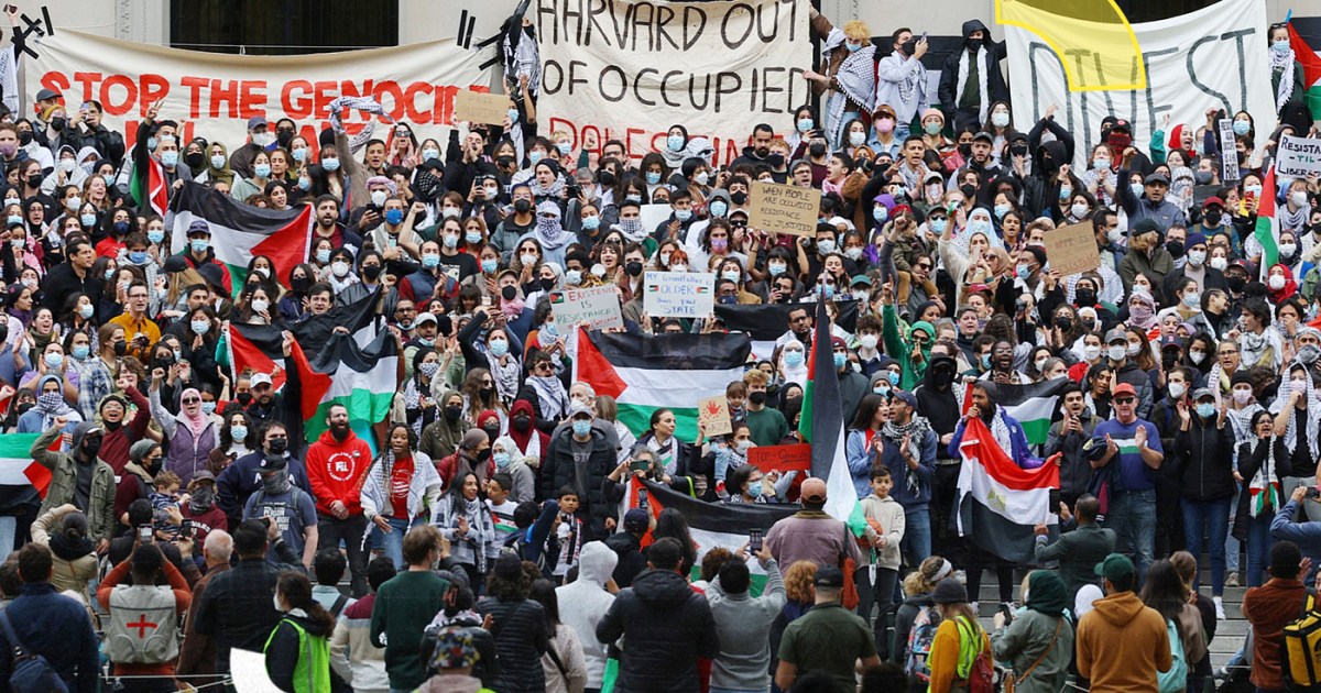 بسبب غزة.. إلى أين يتجه التصعيد ضد جامعة هارفارد الأميركية؟ | سياسة – البوكس نيوز