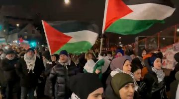 ناشط: مظاهرات الدانمارك غيرت مواقف رسمية بشأن غزة والقضية الفلسطينية | أخبار – البوكس نيوز