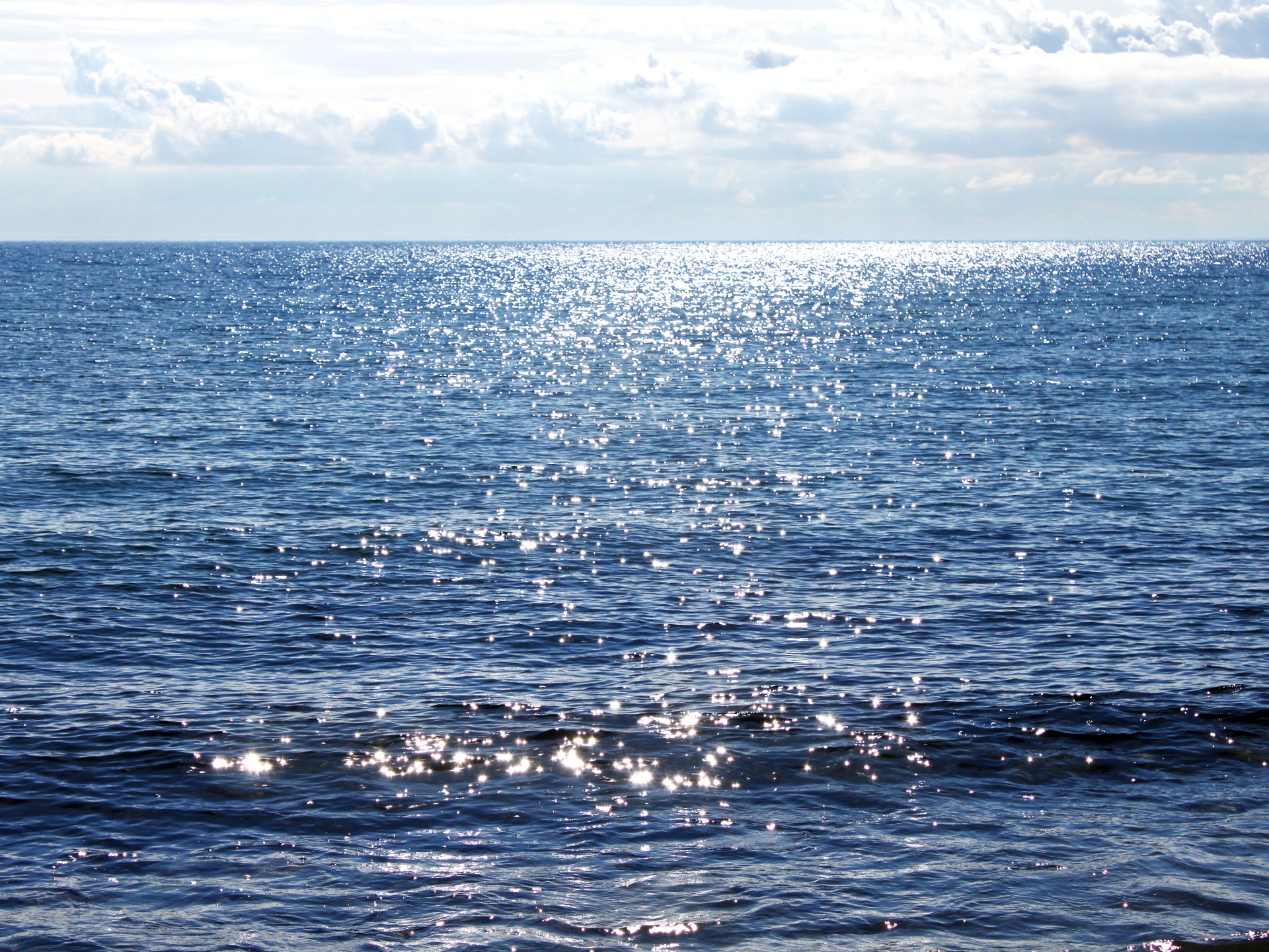 “حمض نووي” لتحلية مياه البحر واستخراج “اليورانيوم” منها | علوم – البوكس نيوز