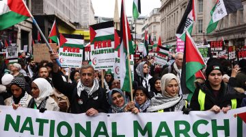 مظاهرات حاشدة في أوروبا تطالب بوقف “الإبادة الجماعية” بغزة | أخبار – البوكس نيوز