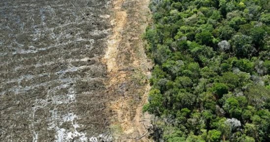 تكنولوجيا  – غابات الأمازون المطيرة قد تنهار بحلول 2050 بسبب الجفاف والحرائق