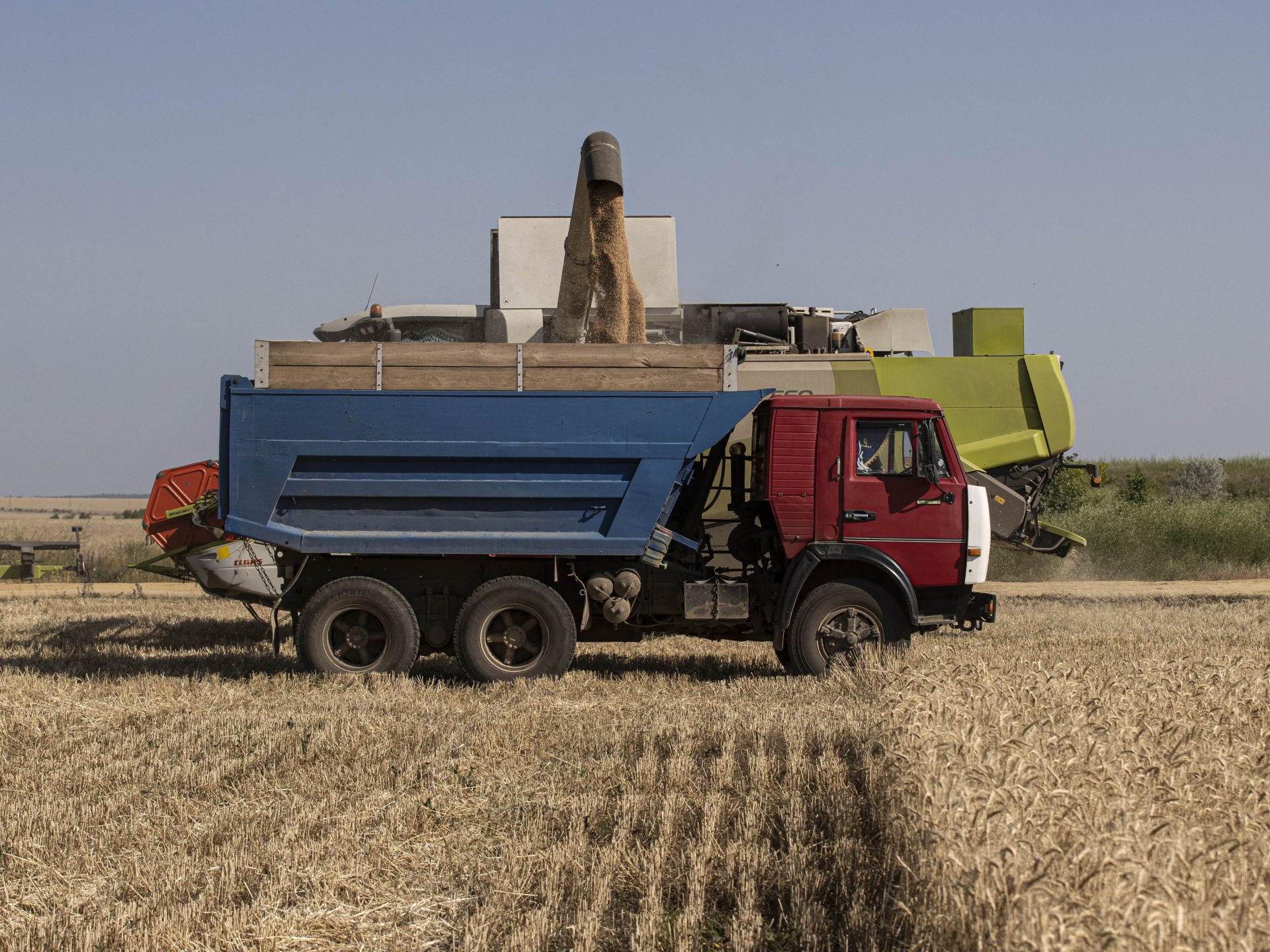 كل ما تريد معرفته عن إنتاج أوكرانيا الزراعي وخلافاتها مع الأوروبيين | اقتصاد – البوكس نيوز