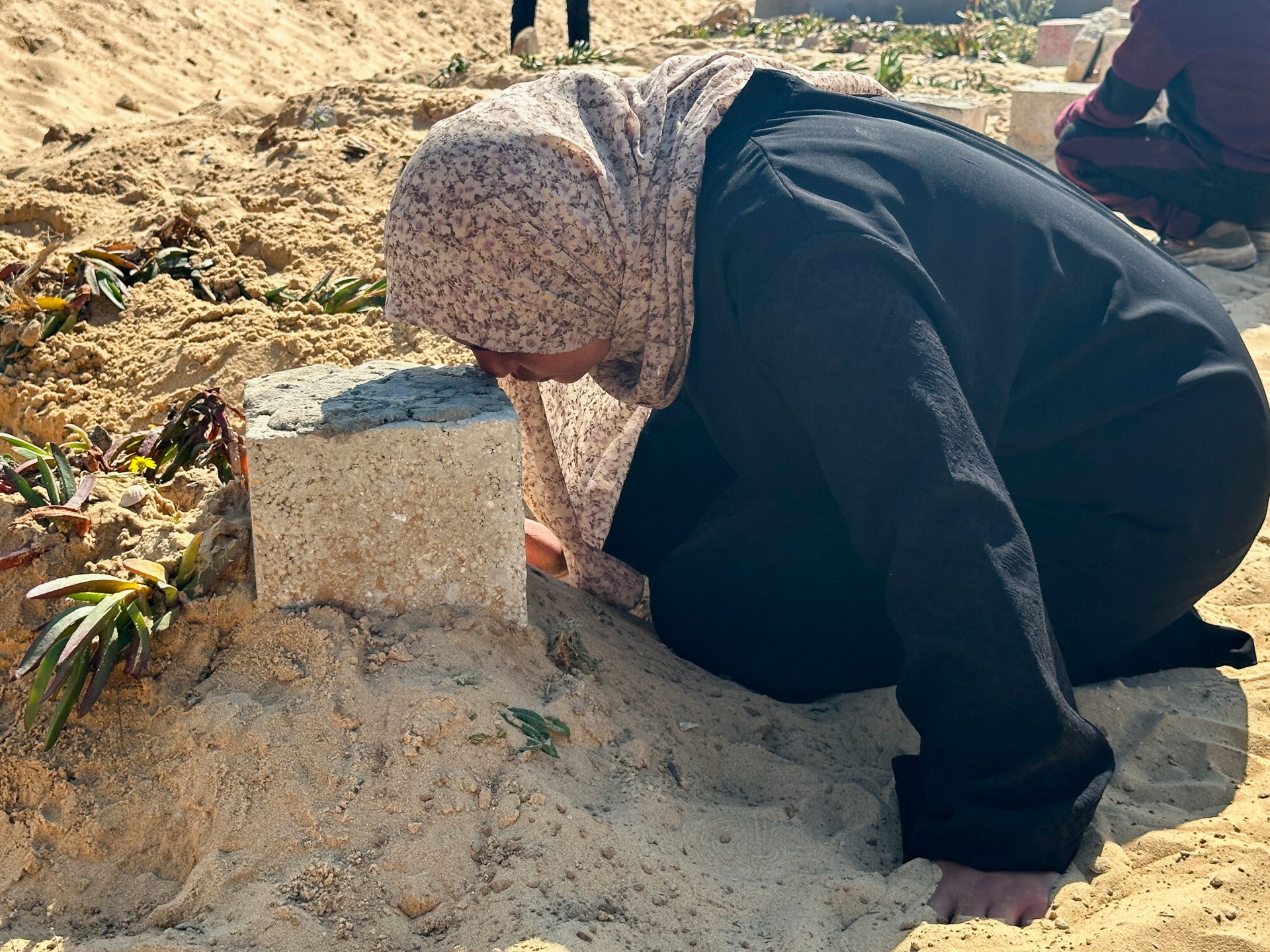 يوميات شبه عادية.. حياة بنكهة الموت في غزة | أخبار – البوكس نيوز