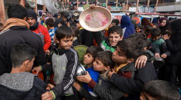 الماء والخُبيزة.. غذاء من لم يمت من عائلات شمال غزة | سياسة – البوكس نيوز