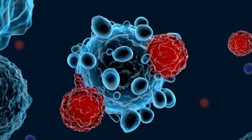 دراسة أميركية: نوع من خلايا المناعة قد يكافح أمراض الشيخوخة | صحة – البوكس نيوز