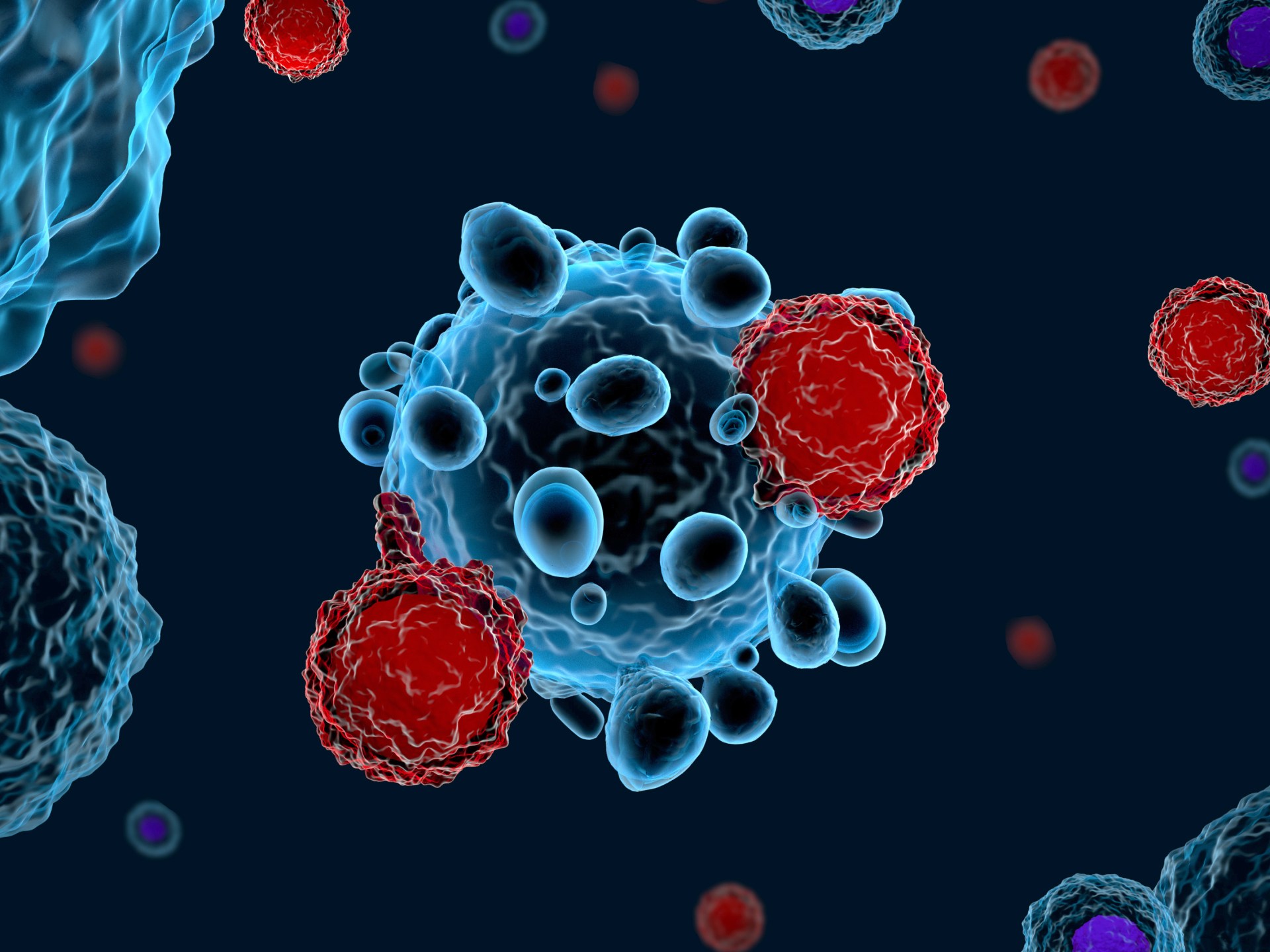 دراسة أميركية: نوع من خلايا المناعة قد يكافح أمراض الشيخوخة | صحة – البوكس نيوز