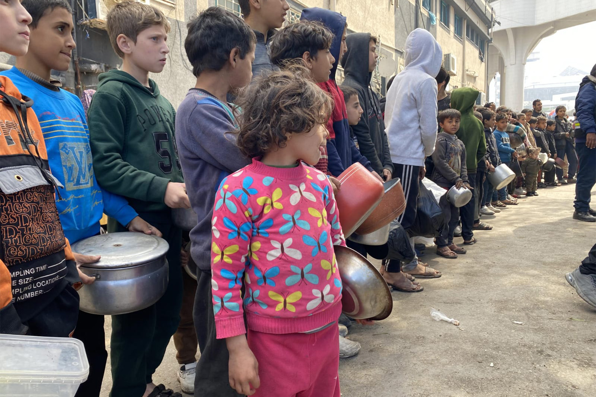 برنامج الغذاء العالمي: إذا لم ندخل شمال غزة سيموت آلاف الأطفال جوعا | أخبار – البوكس نيوز