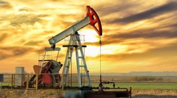 النفط يستقر بعد إبقاء أوبك توقعاتها بشأن نمو الطلب