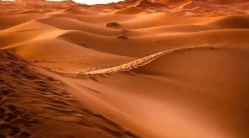 الصحراء الغربية قضية عادلة تقودها جبهة البوليساريو