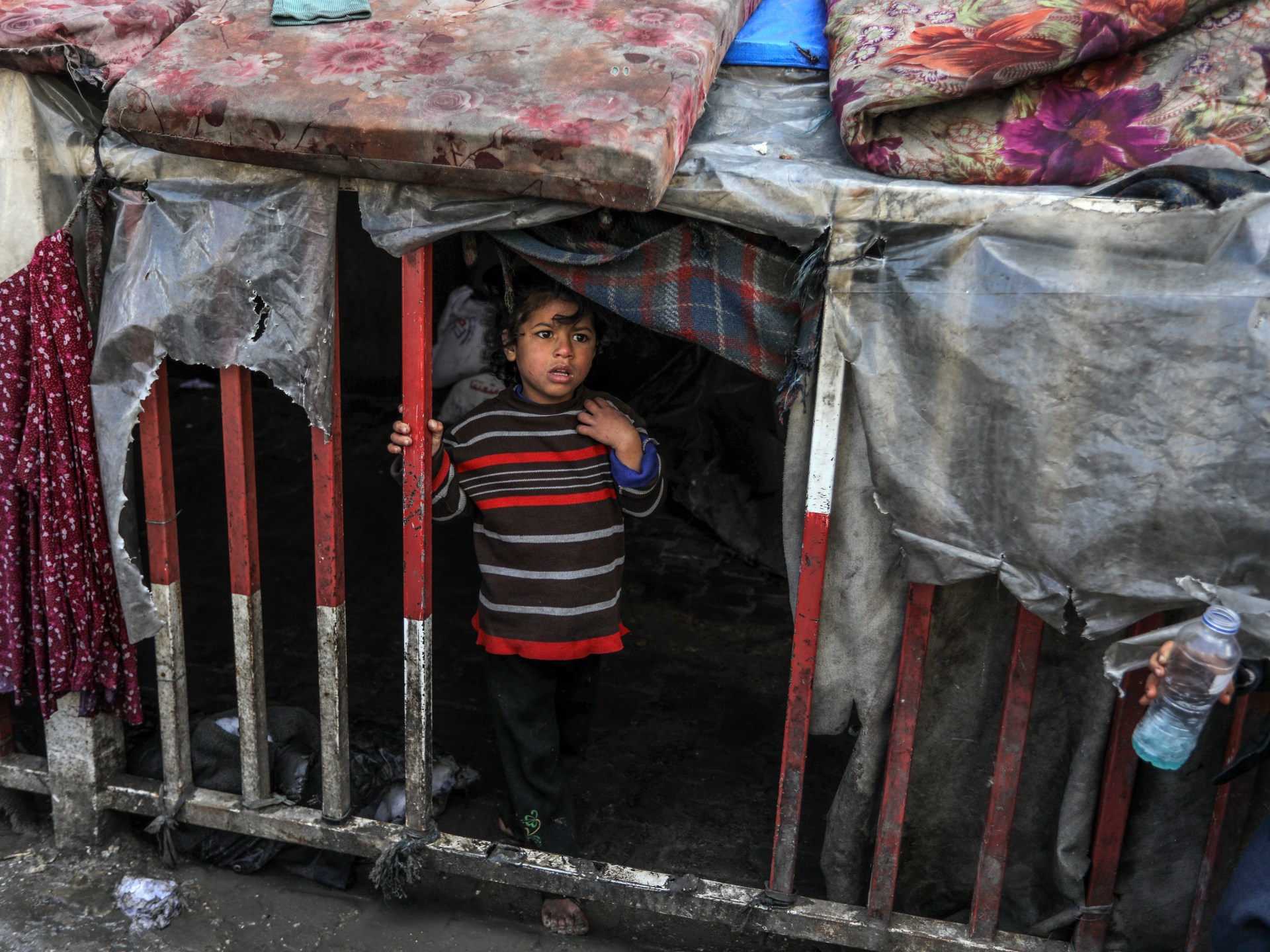 ديفيد هيرست: على الدول الإسلامية مواجهة الغرب لوقف الحرب على غزة | أخبار سياسة – البوكس نيوز