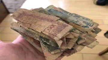 كيف يخطط الحوثيون لتجاوز مشكلة تلف وتقادم العملة النقدية بمناطقهم؟