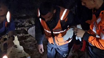 كاميرا البوكس نيوز ترصد آثار القصف الإسرائيلي لمقبرة في مخيم جباليا | التقارير الإخبارية – البوكس نيوز