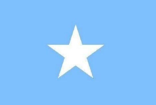 الصومال.. غارة أمريكية تقتل 3 من «حركة الشباب».