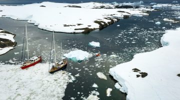 دراسة: المراسي الجليدية في القطب الجنوبي تختفي بشكل مضاعف | علوم – البوكس نيوز