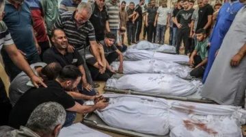 ارتفاع حصيلة شهداء غزة إلى (33) ألف شهيد