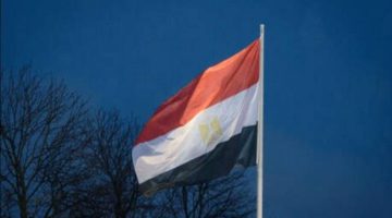 تحركات في مصر بعد نجاح زراعة البن لأول مرة