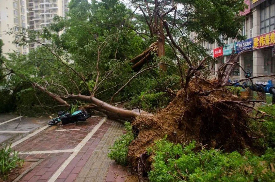مقتل وإصابة 38 شخصا إثر إعصار قوي في الصين