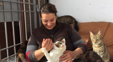 التونسية هدى بوشهدة تنقذ 400 قط و22 كلبا من الشارع | أسلوب حياة – البوكس نيوز