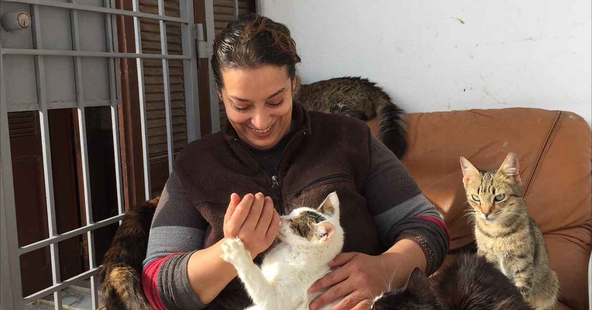 التونسية هدى بوشهدة تنقذ 400 قط و22 كلبا من الشارع | أسلوب حياة – البوكس نيوز