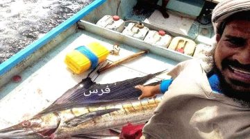 بالصور..صياد عدني يوضح الفرق بين نوعين من الأسماك