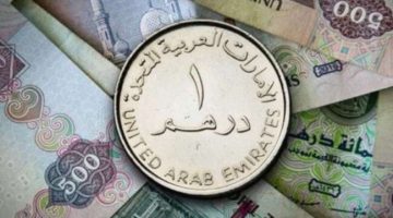 سعر الدرهم الإماراتي مقابل الجنيه المصري اليوم الأحد 5 مايو 2024