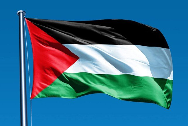 رسميًا.. أيرلندا تعترف بدولة فلسطينية