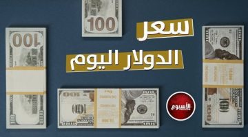 تطور جديد بسعر الدولار في مصر اليوم.. الأربعاء 29-5-2024