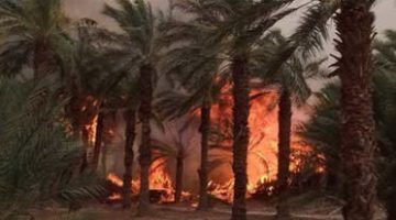 الجزائر تكافح لاحتواء حرائق الغابات الضخمة في 4 ولايات