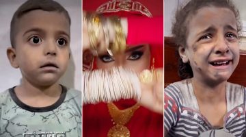 رسائل الغزيين لمشاهير العرب المشاركين “بالترند الهندي” | أخبار – البوكس نيوز